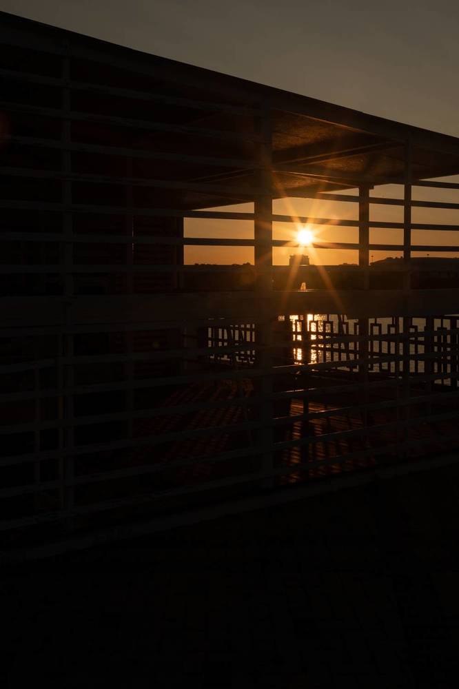 Photograph by Юлия Шевцова