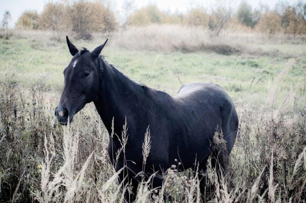 Photograph by Максим Жухлистов