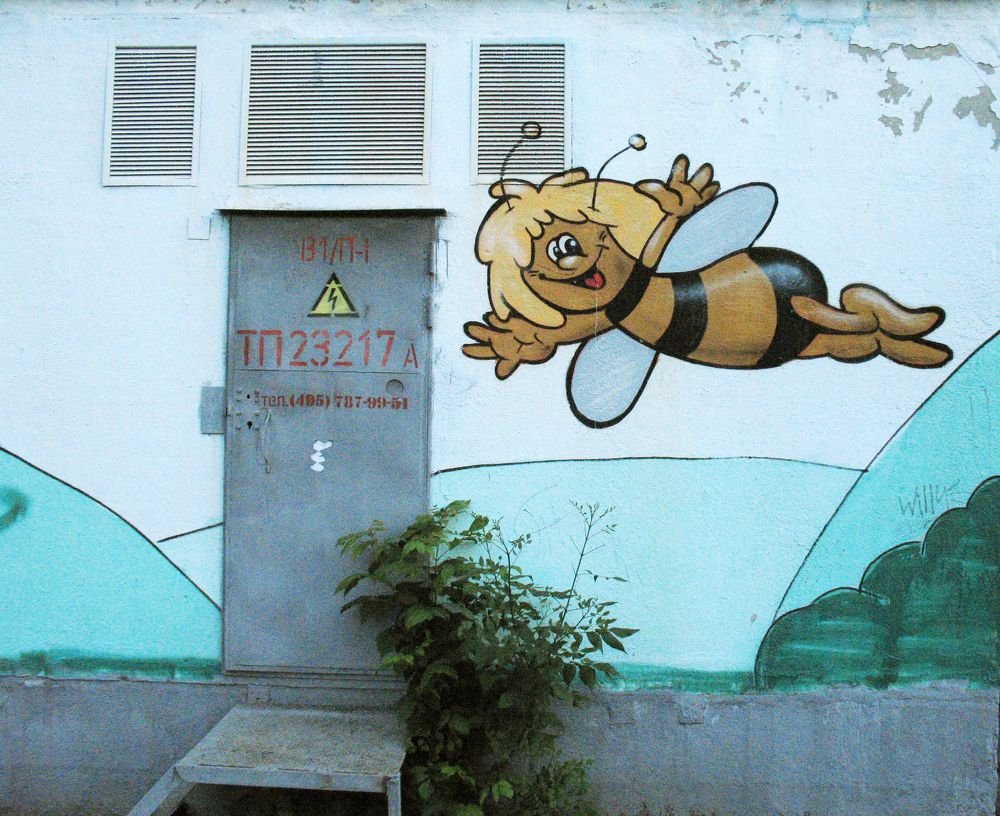 Photograph by Ионова Татьяна