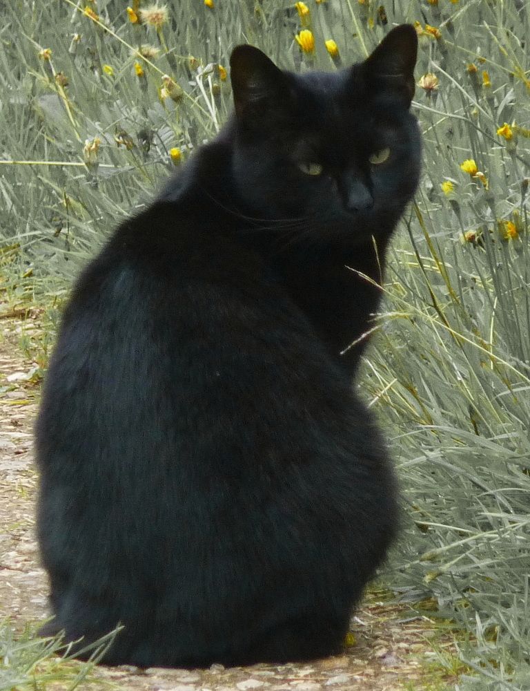 Photograph by Galina Leskova