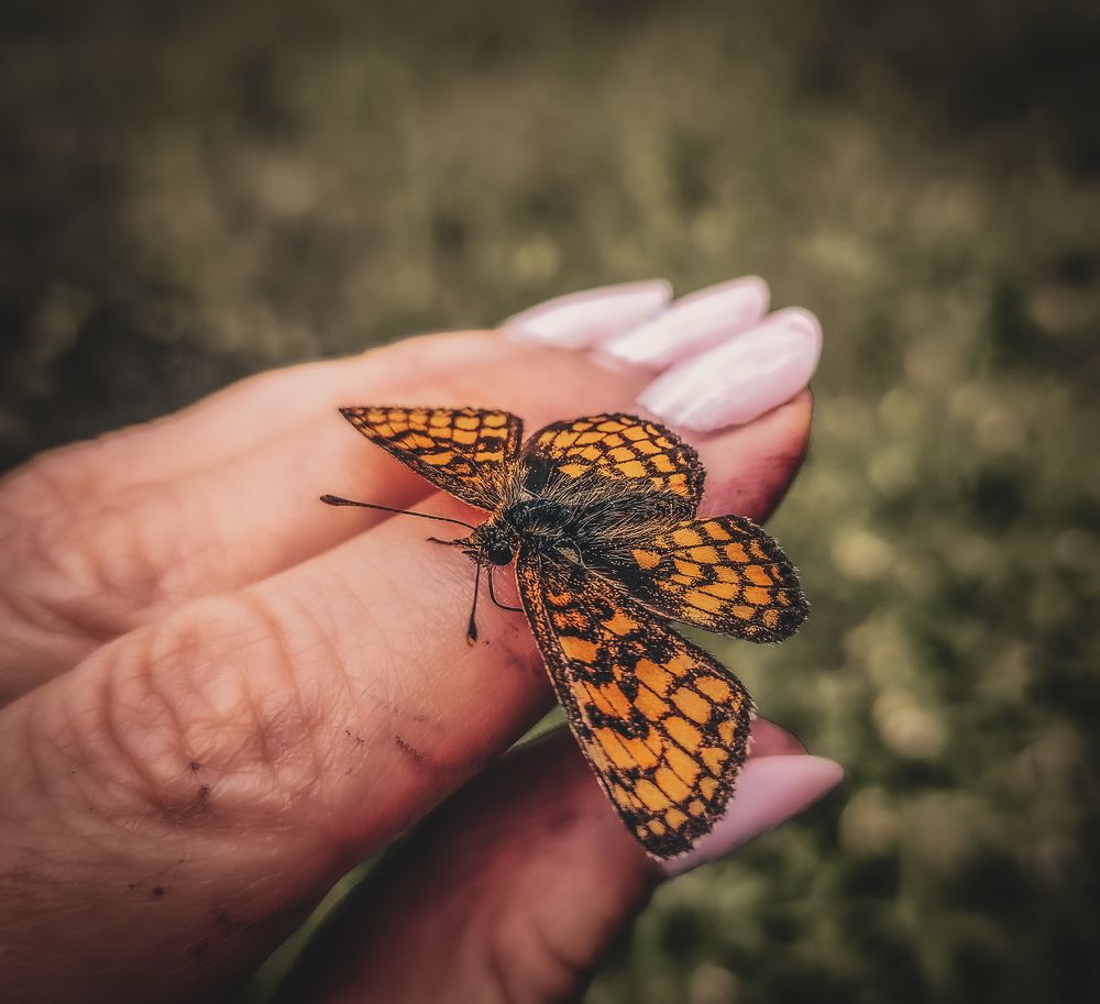 Photograph by Екатерина Никитина