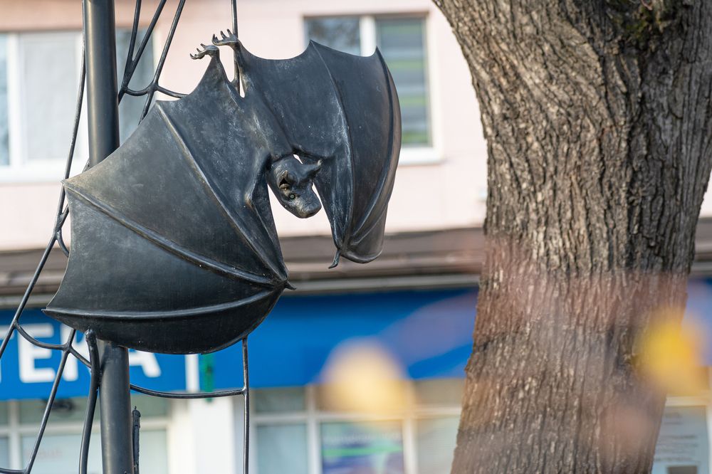 Photograph by Максим Жухлистов