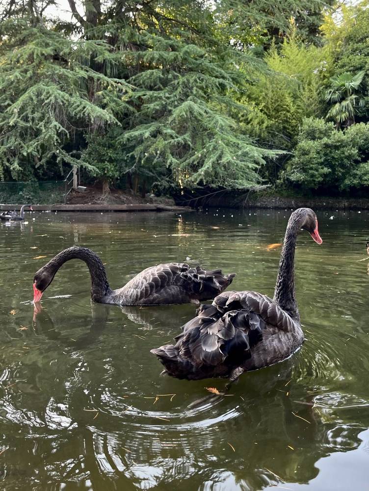 Photograph by Юлия Шевцова