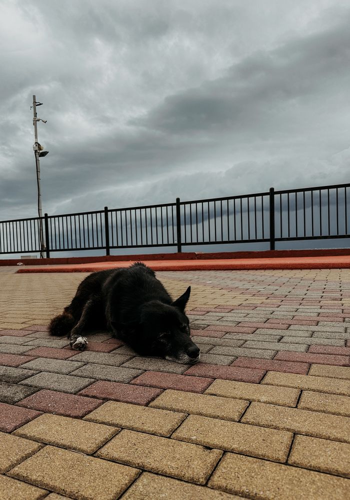 Photograph by Мария Петрова