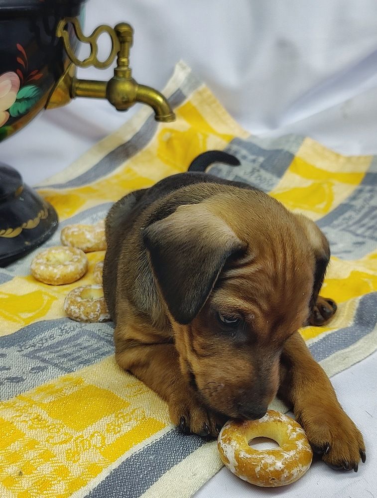 Photograph by Татьяна Гулакова