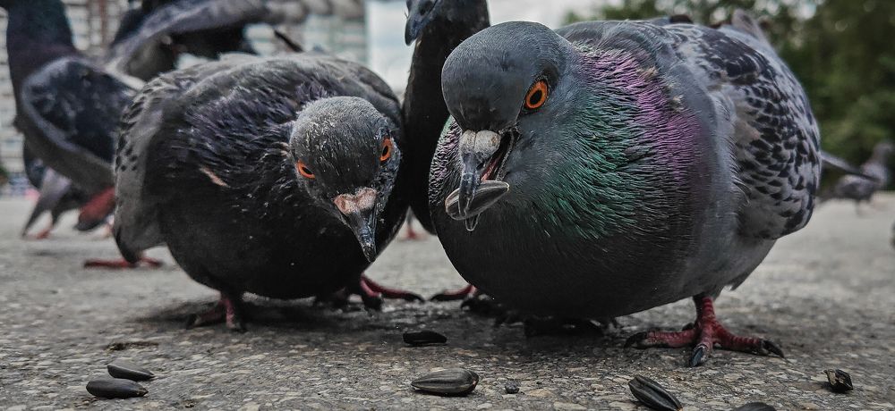 Photograph by Ксения Супрун