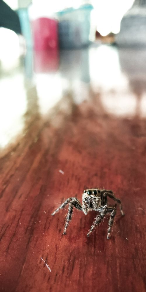 Photograph by Ксения Супрун