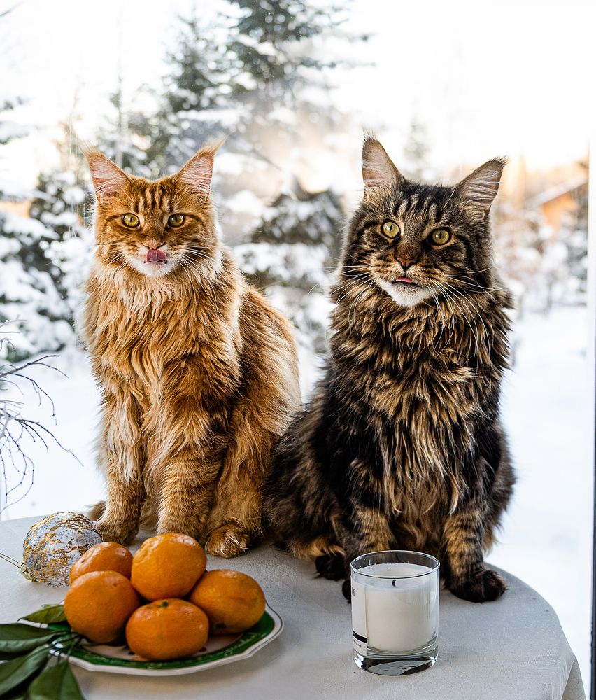 Photograph by NADEZHDA PELYMSKAIA