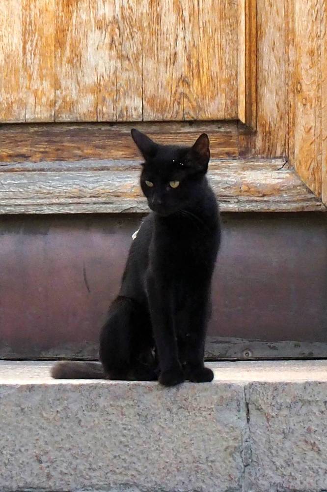 Photograph by DMITRIY DULIN