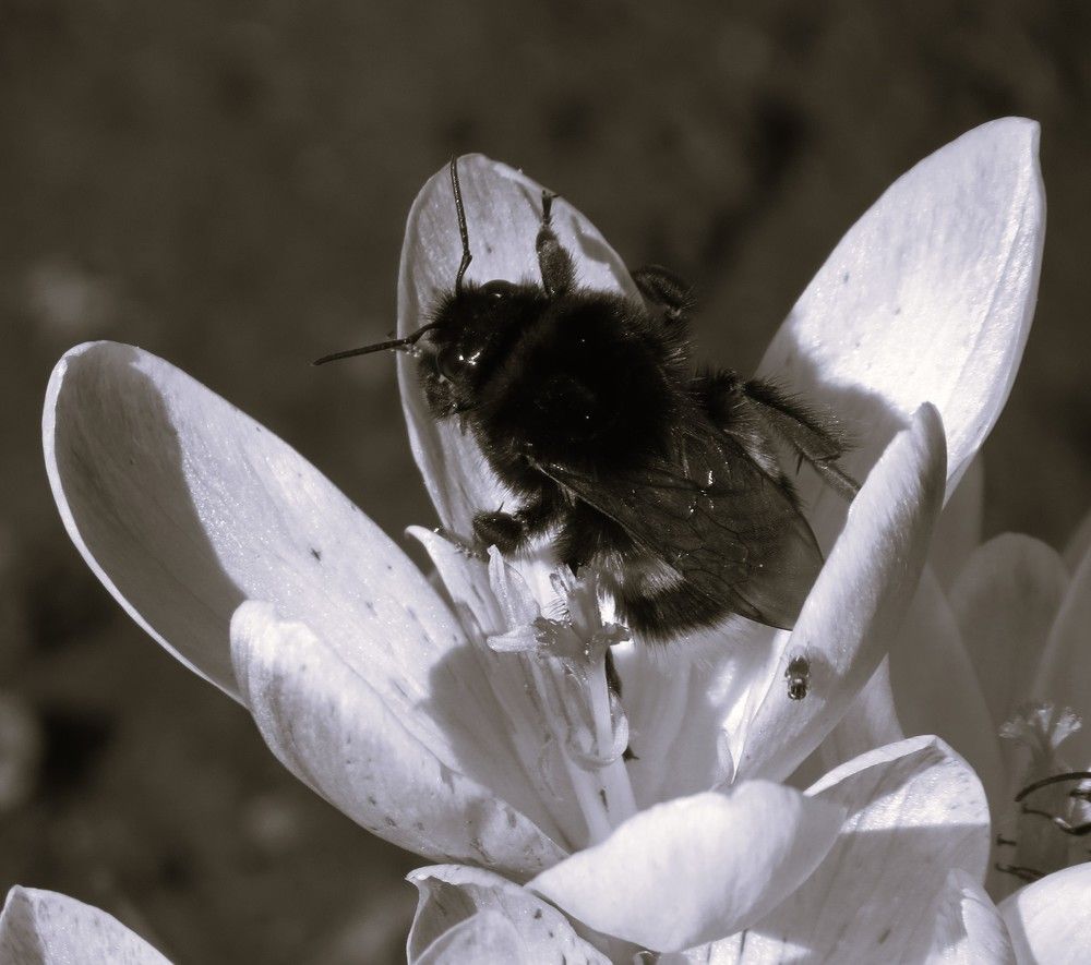 Photograph by Лариса Басова