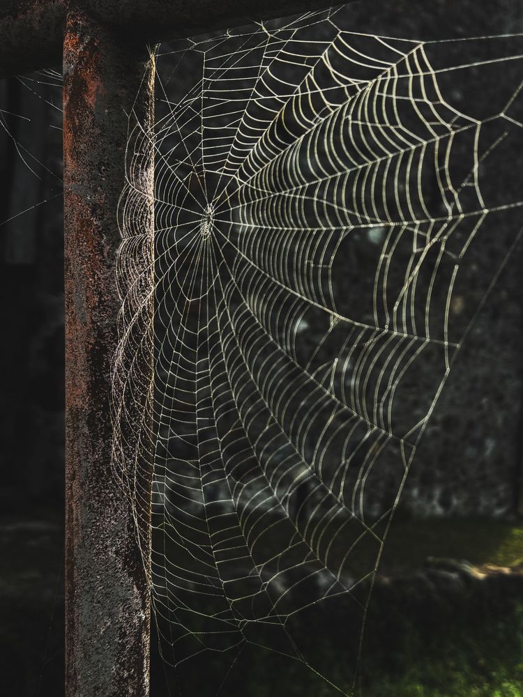 Photograph by Татьяна Шапочка