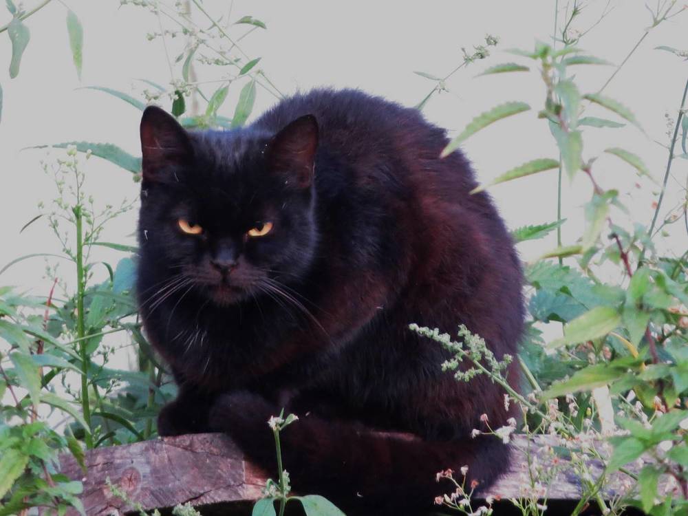 Photograph by Лариса Басова