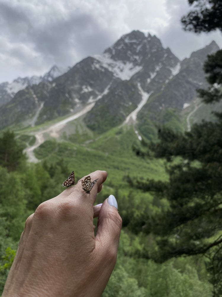 Photograph by Алиса Лукина