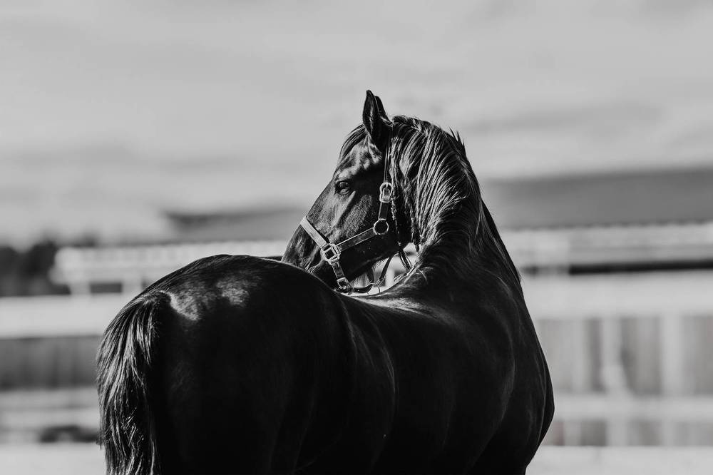 Photograph by Полина Фрольцова