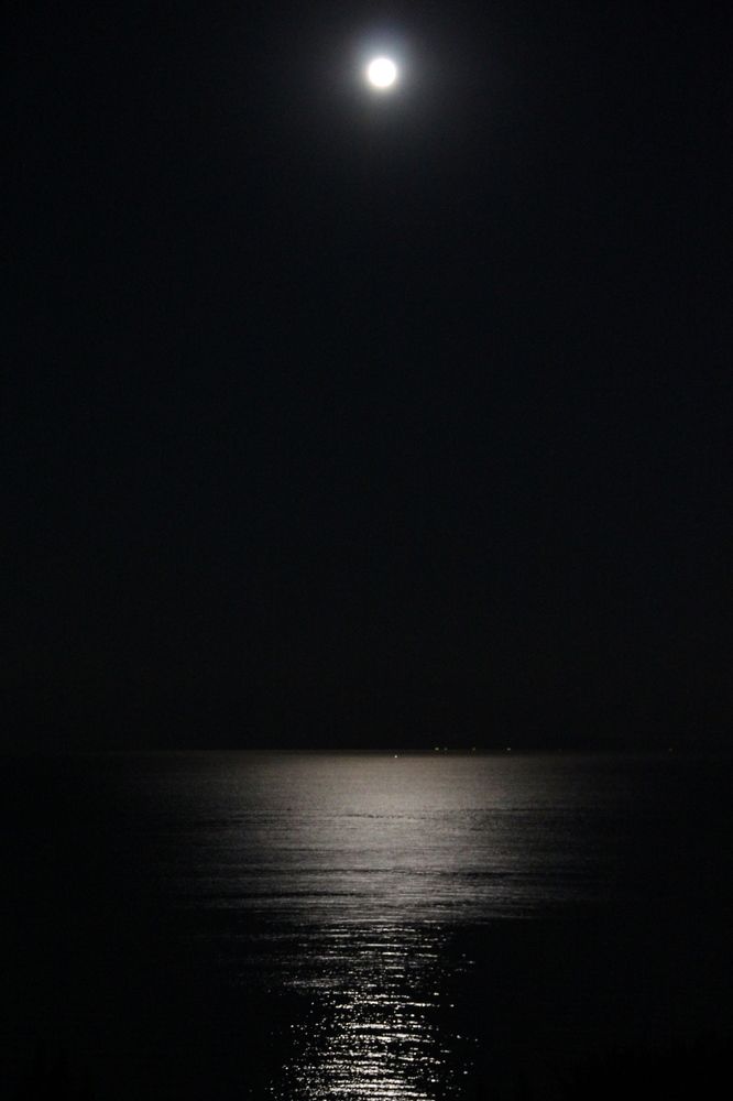 Photograph by Герасимов Игорь