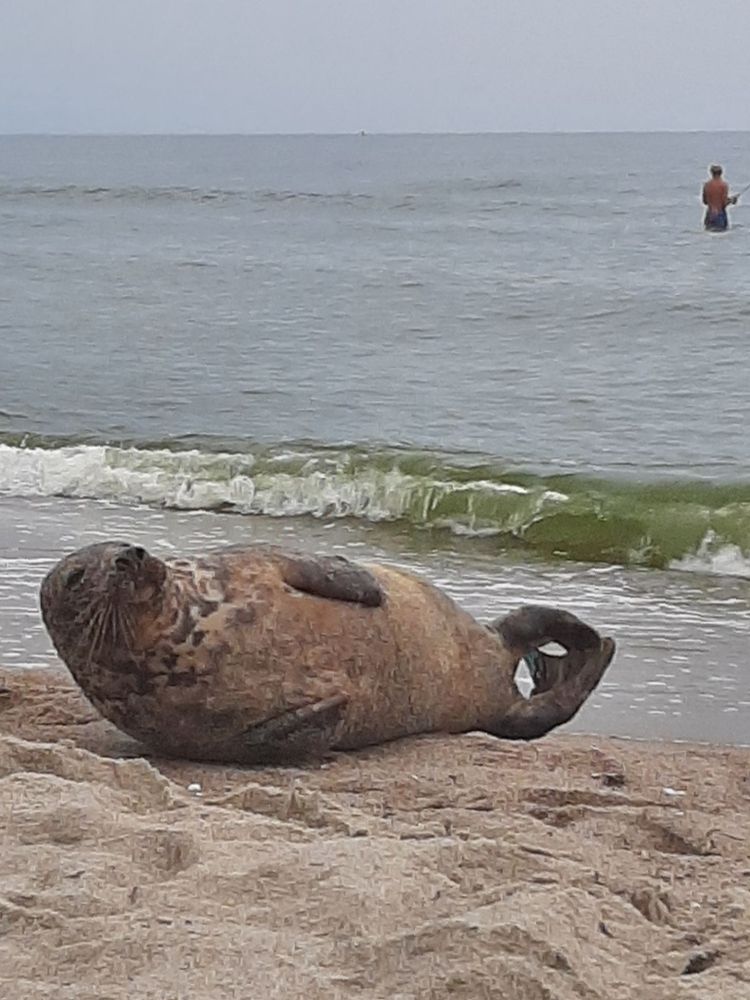 Photograph by Владимир Кублицкий