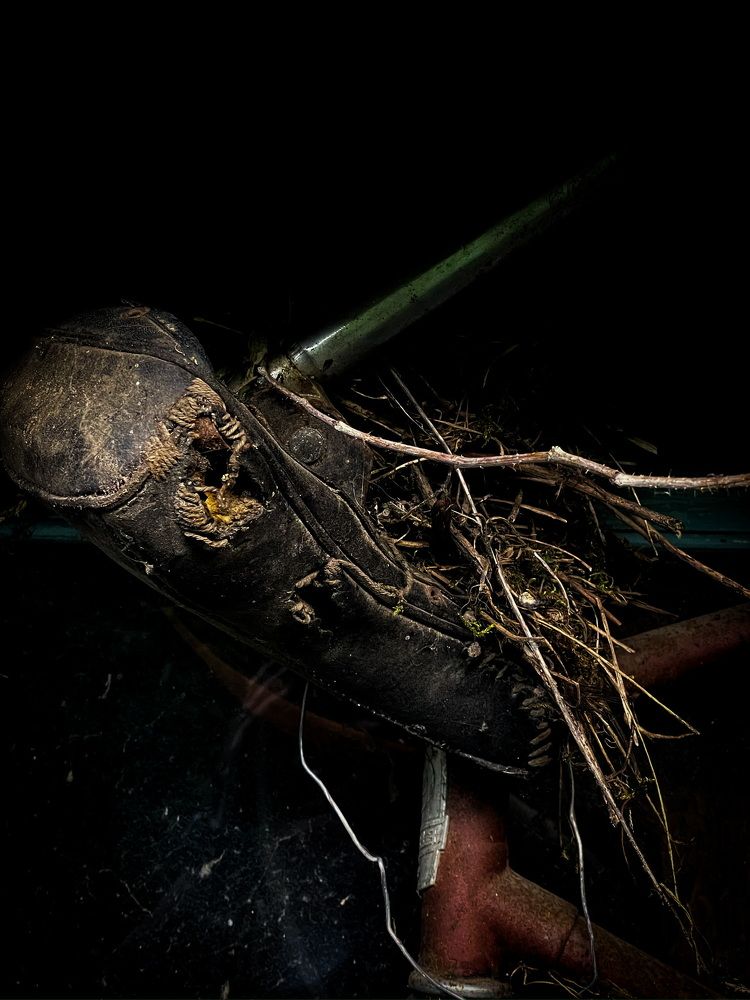 Photograph by Анна Пигулевская