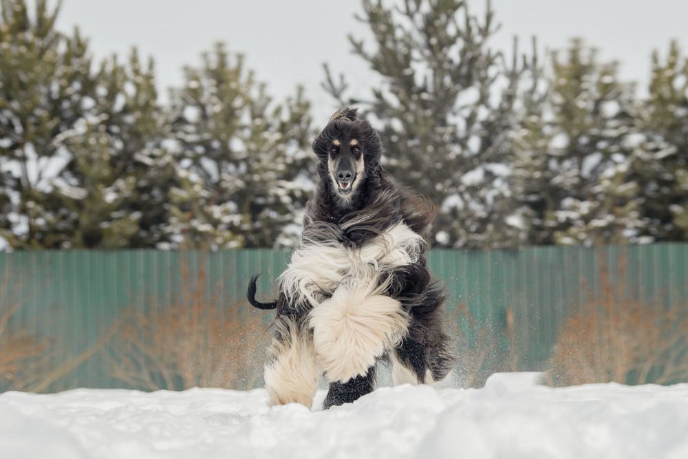 Photograph by Екатерина Полякова