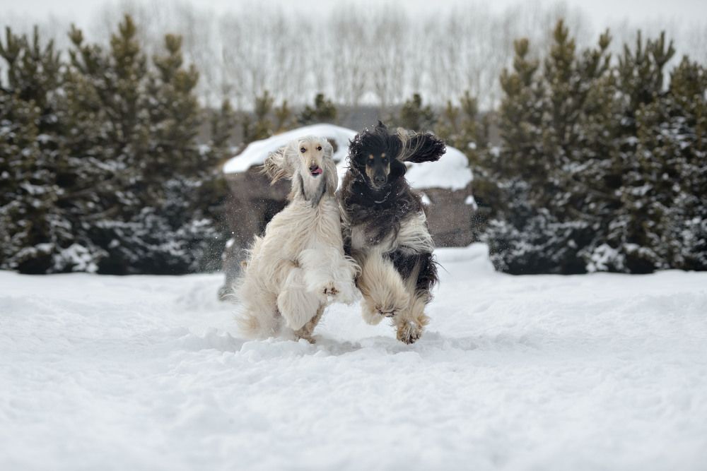 Photograph by Екатерина Полякова