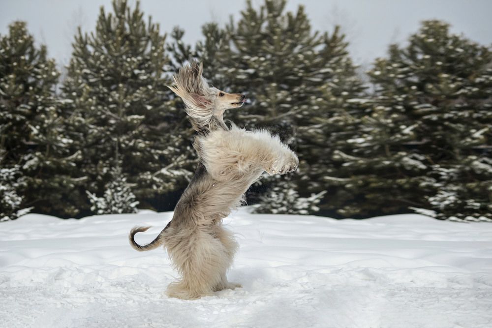 Photograph by Екатерина Полякова