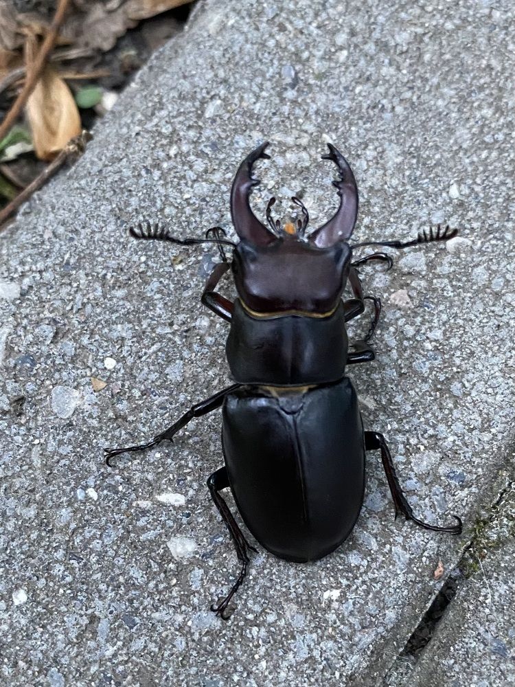 Photograph by Алиса Лукина