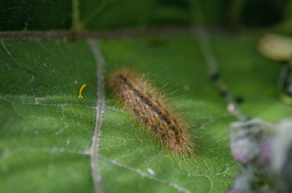 Photograph by Любовь Бусова