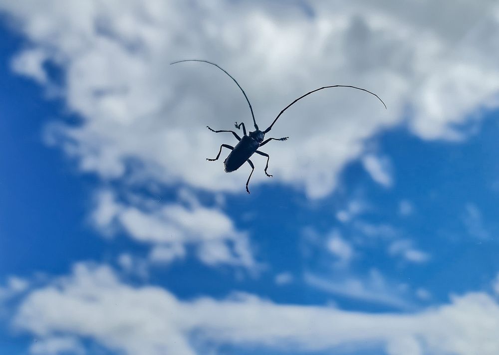 Photograph by Natasha Kim