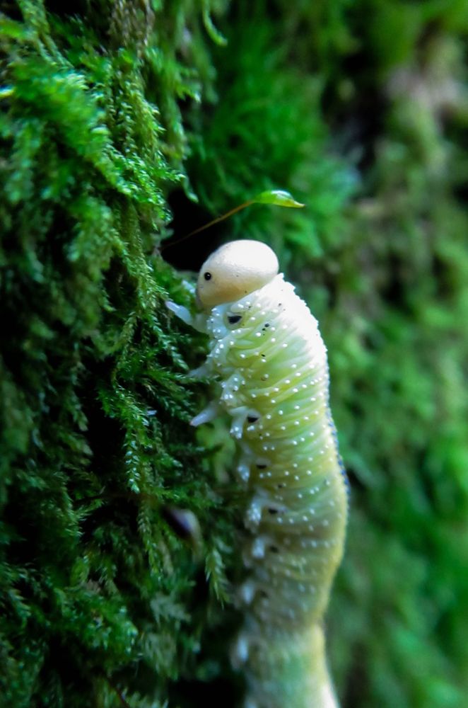 Photograph by Любовь Бусова