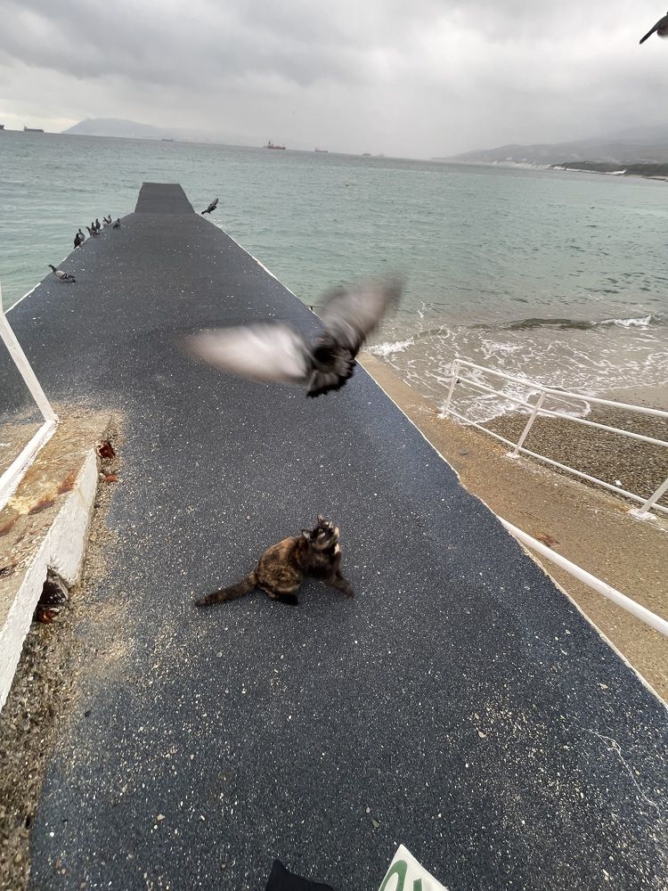 Photograph by Ксения