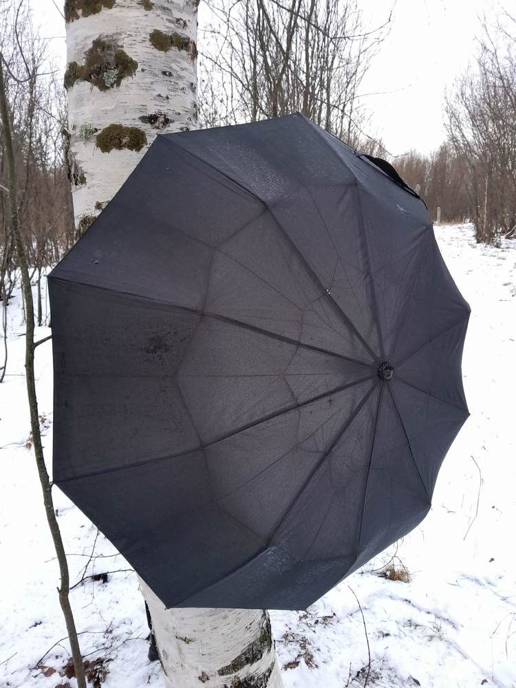 Photograph by Виталий