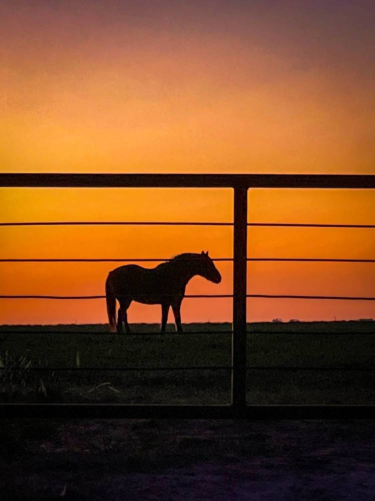 Photograph by Maria Julieta ZURZOLO