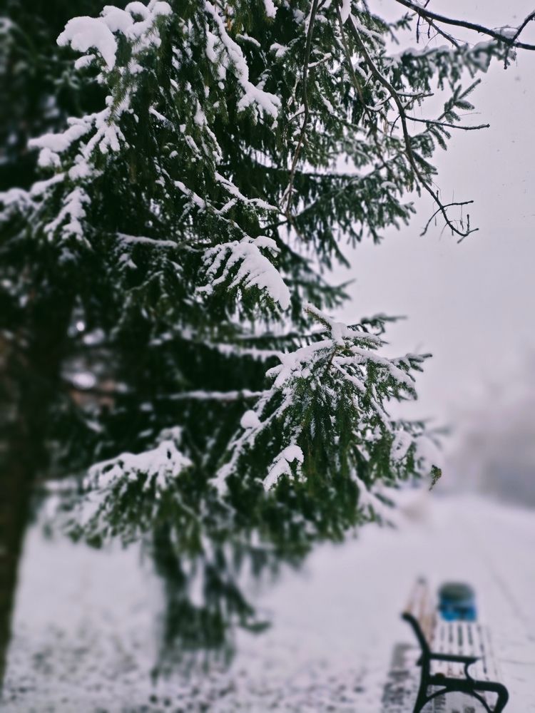 Photograph by Вера Балашова