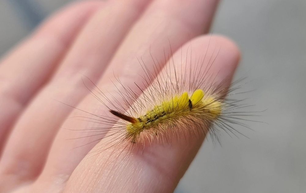 Photograph by Natasha Kim