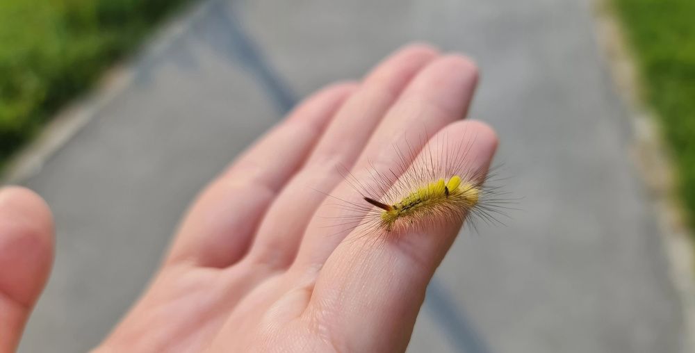 Photograph by Natasha Kim