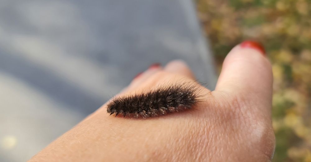 Photograph by Natasha Kim