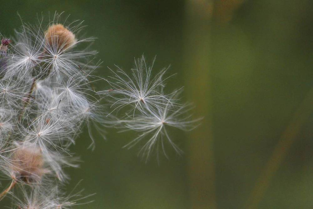 Photograph by Ольга Ильина