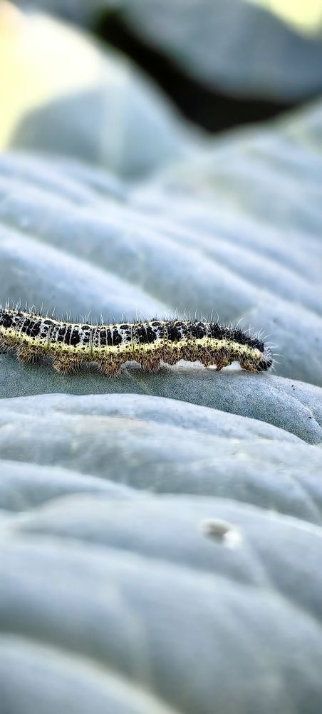 Photograph by Анастасия Позинич