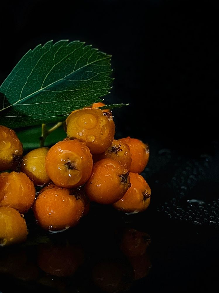 Фотография автора Ольга Каминская