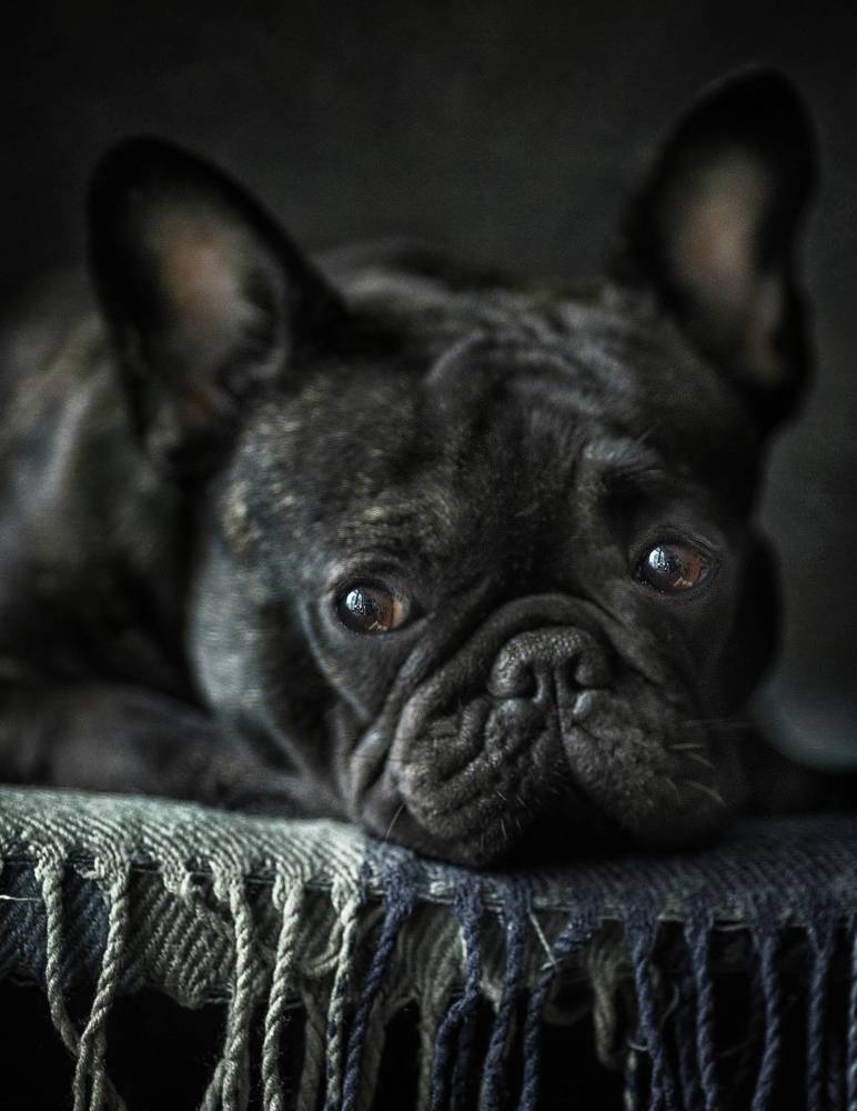 Photograph by Ольга Софронова