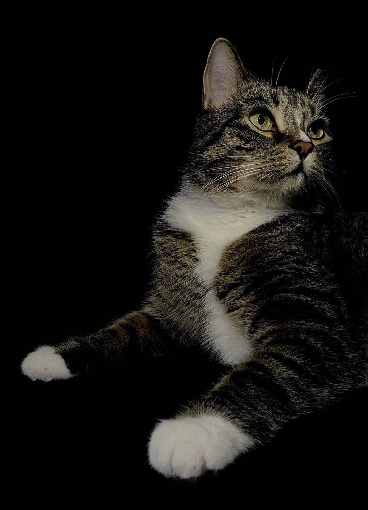 Фотография автора Ольга Каминская