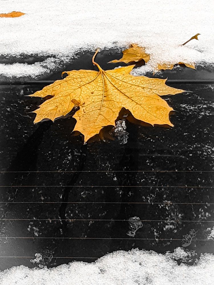 Photograph by Людмила Худякова