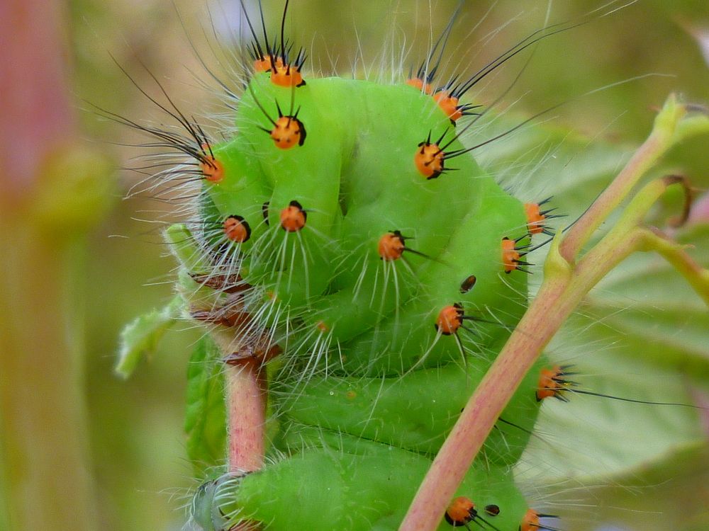 Photograph by Tatyana Busorgina