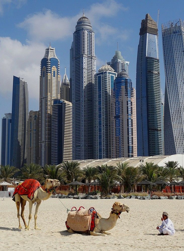 Photograph by Марина Раткун