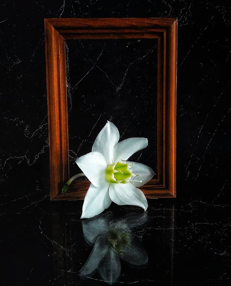 Photograph by Марина Мальцева