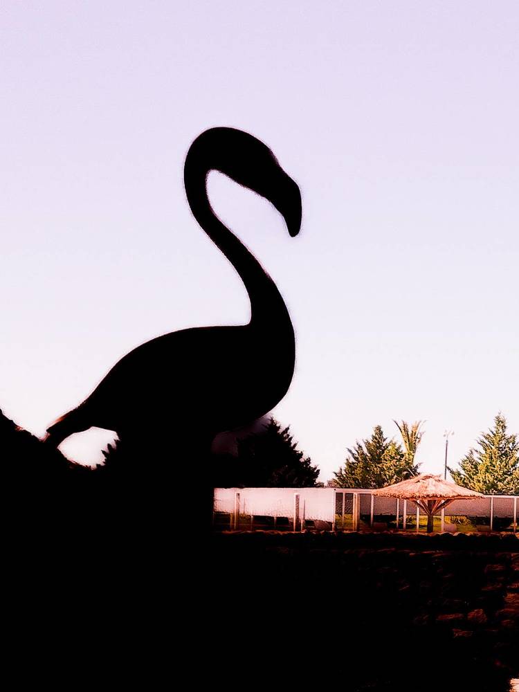 Photograph by Maria Julieta ZURZOLO