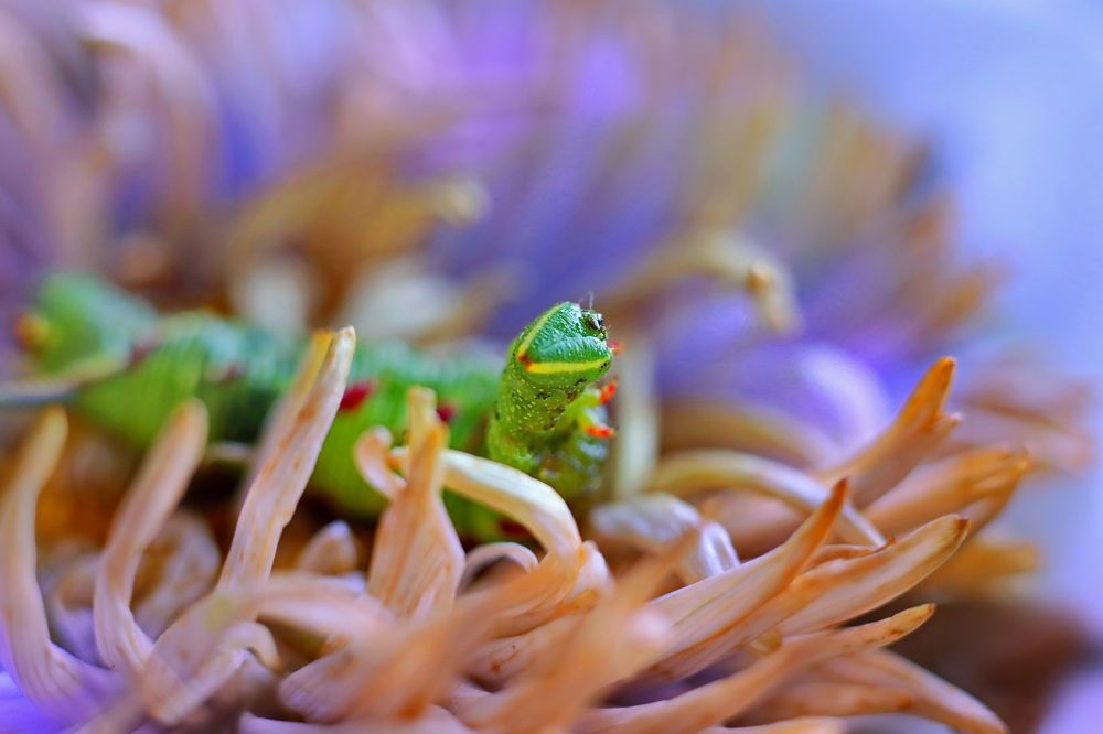 Photograph by Татьяна Бравая