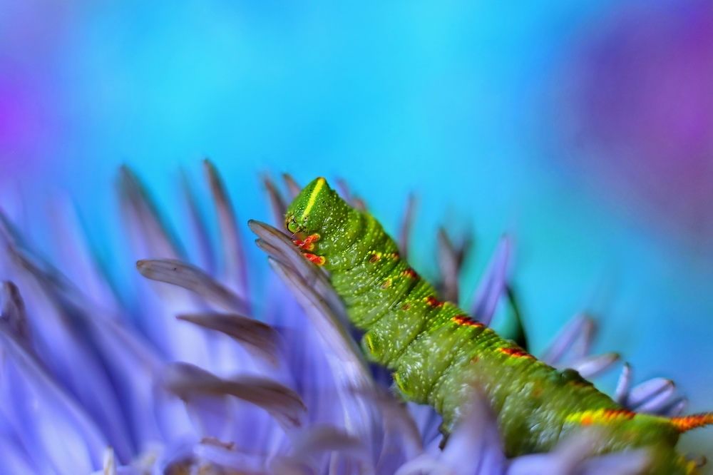 Photograph by Татьяна Бравая