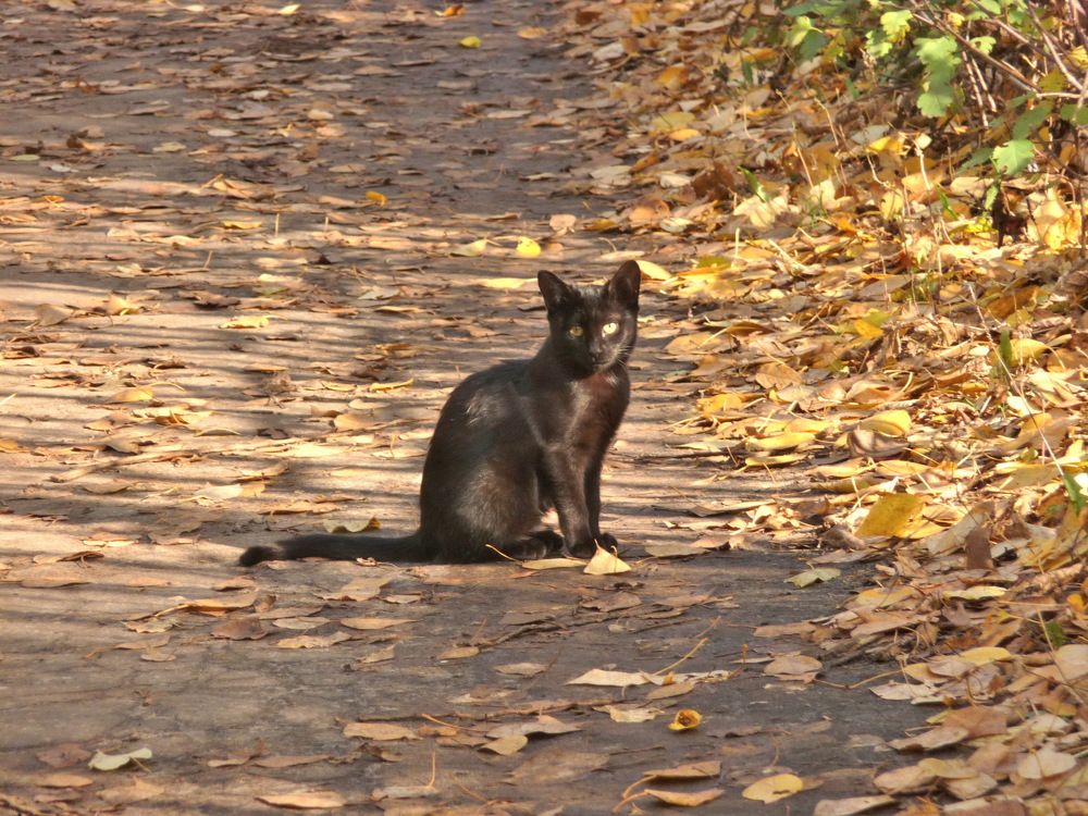 Фотография автора Клавдия Васильева
