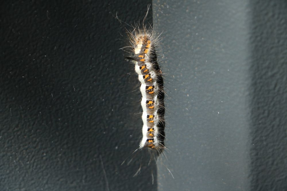 Photograph by Cengiz Yalcin