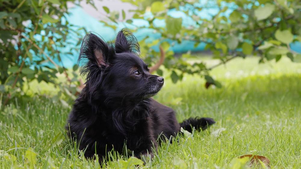 Photograph by Екатерина Слепнева